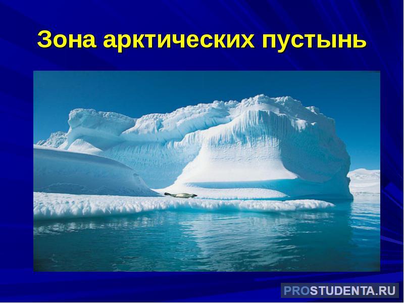 Зона арктических пустынь: географическая характеристика, флора и фауна ...