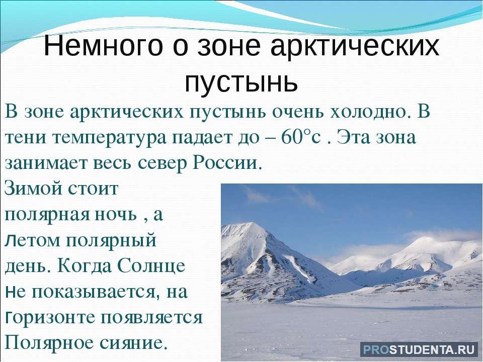 Зона арктических пустынь: географическая характеристика, флора и фауна ...
