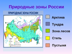 Какие есть природные зоны