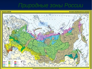 Природные зоны России