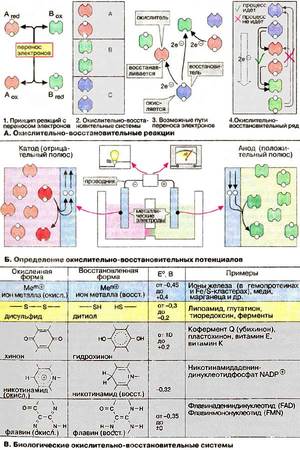 Химические процессы