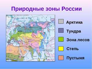 Основные и переходные климатические пояса Земли