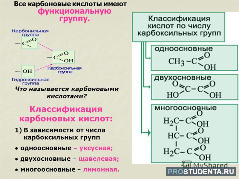 Современная международная номенклатура