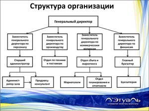 Структура организации