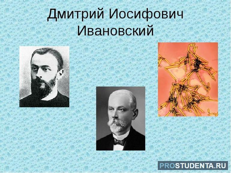 Русский учёный Дмитрий Иосифович Ивановский.