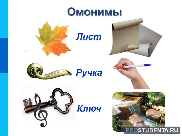 Омонимы в русском языке
