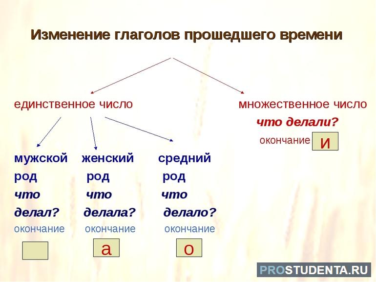 Окончания прошедшего времени глагола