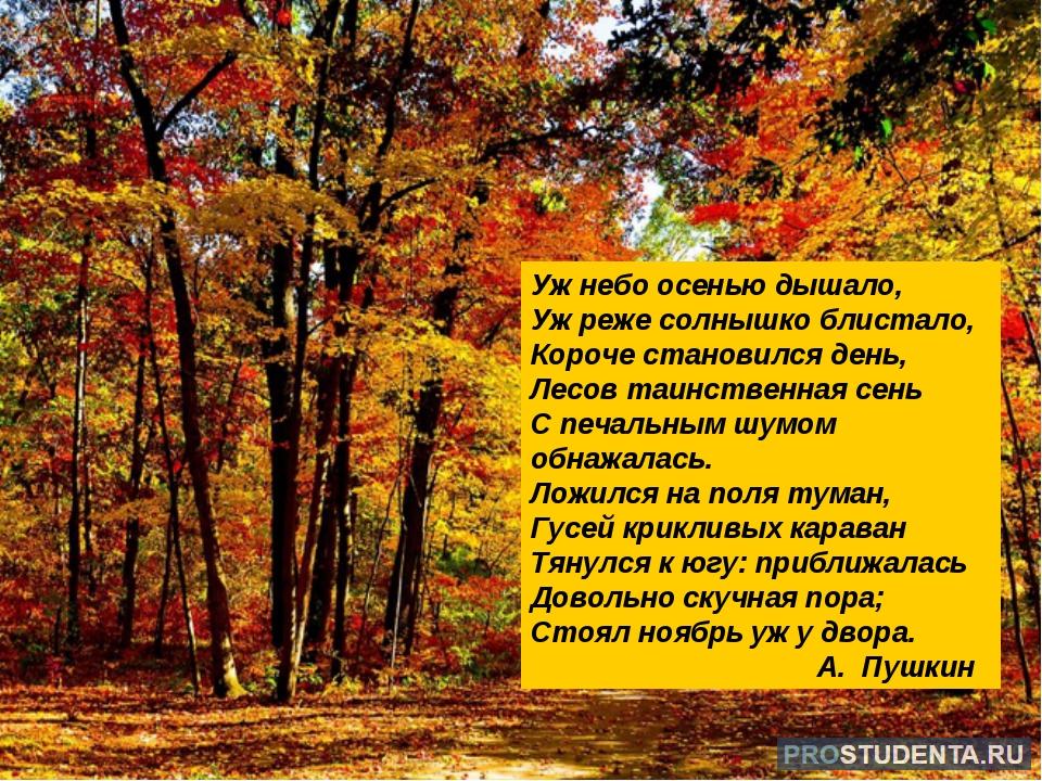 Стали дни давно короче текст. Стихи Пушкина про осень. Уж небо осенью дышало. Уж небо осенью дышало Пушкин. Стихотворение Пушкина про осень.