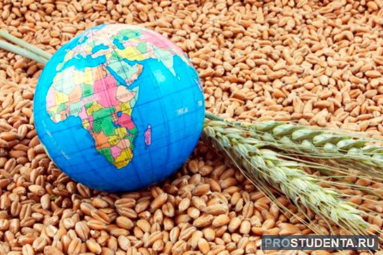 Причины и решение глобальной продовольственной проблемы
