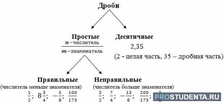 Виды дробей