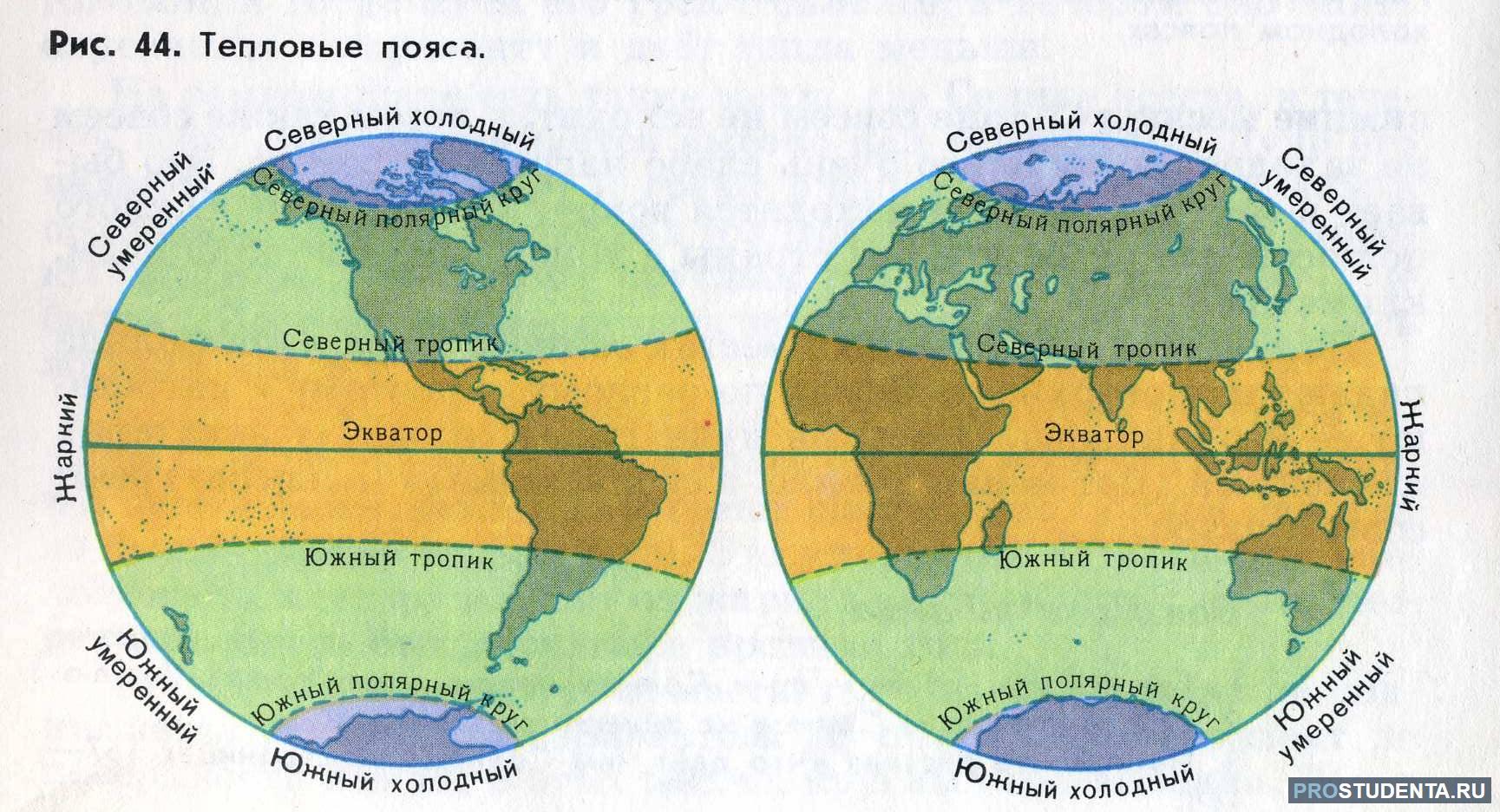 Изучите рисунок изменения растительности от экватора к полюсам сделайте вывод