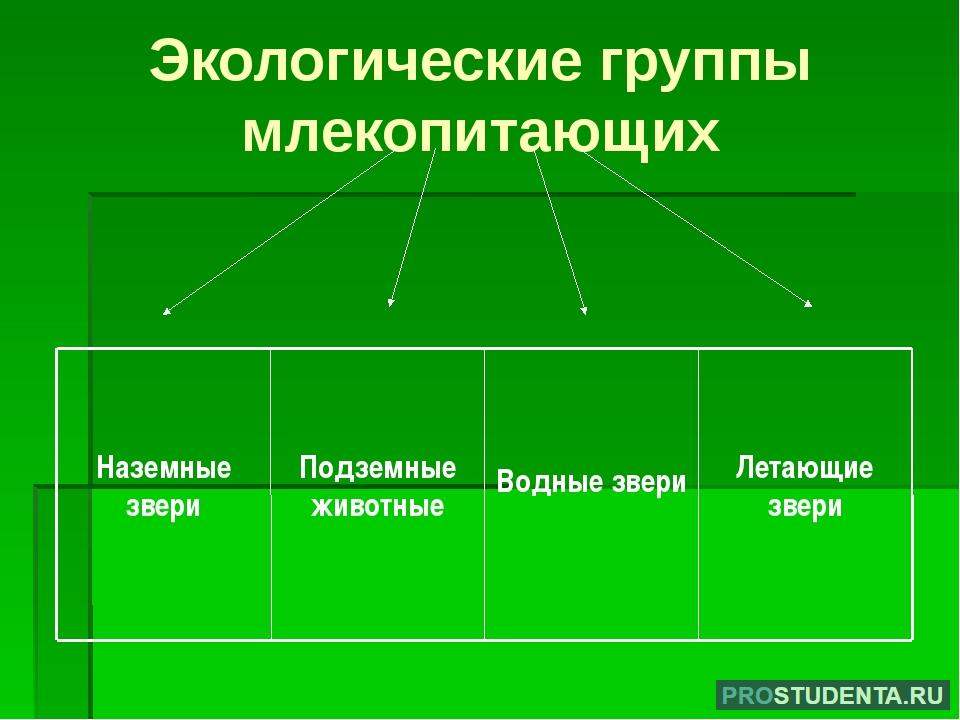 Экологические группы экология