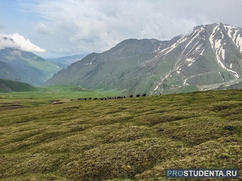Пластовые равнины Кавказского региона