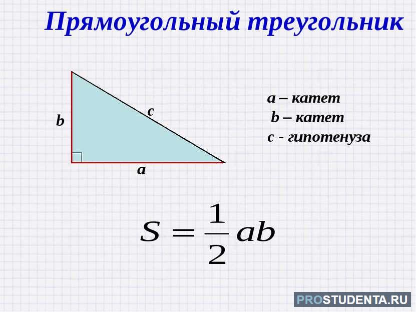 Площадь прямоугольного треугольника через катеты: формулы и алгоритмы .