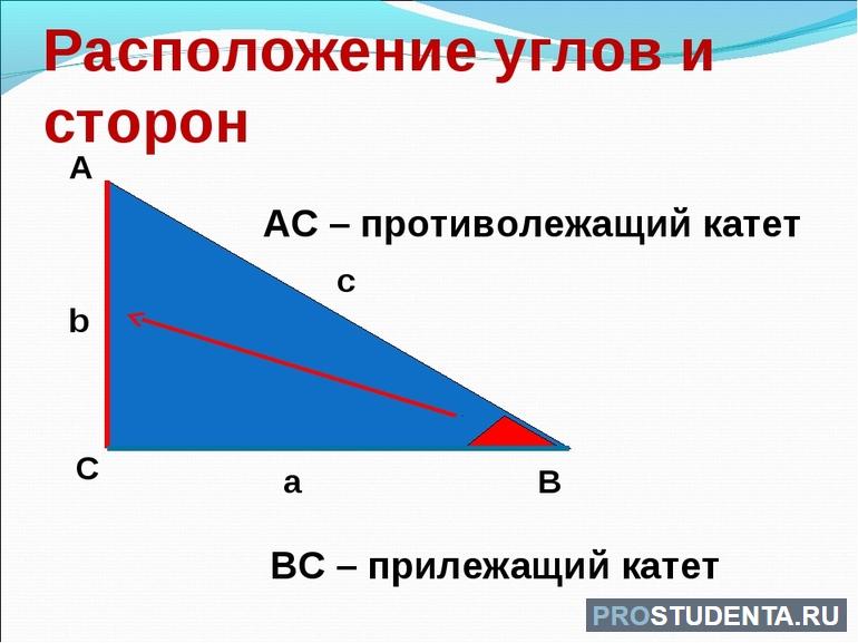 Как найти площадь прямоугольного треугольника 