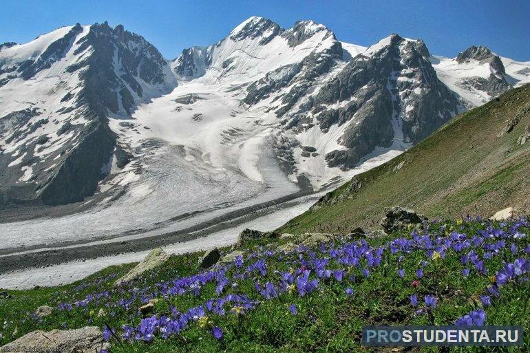 Особенности и описание природных зон Северного Кавказа