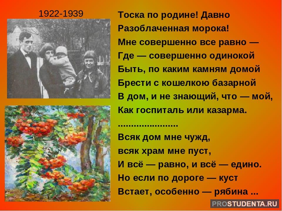 Образы стихотворения родина цветаева. М. Цветаева "тоска по родине! Давно...". Тоска по родине давно Цветаева стих. Тоска по родине давно Разоблаченная морока.