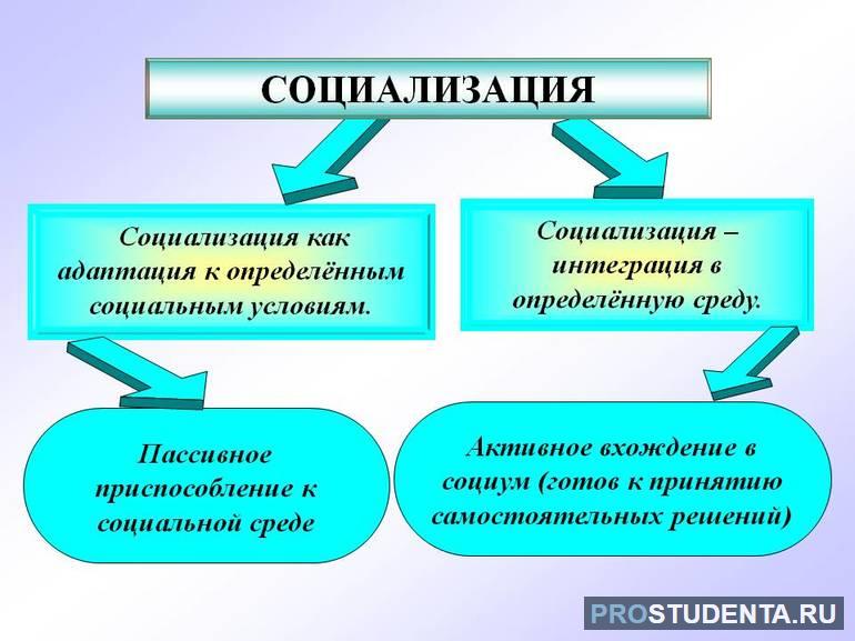 Схемы и примеры первичных и вторичных агентов социализации