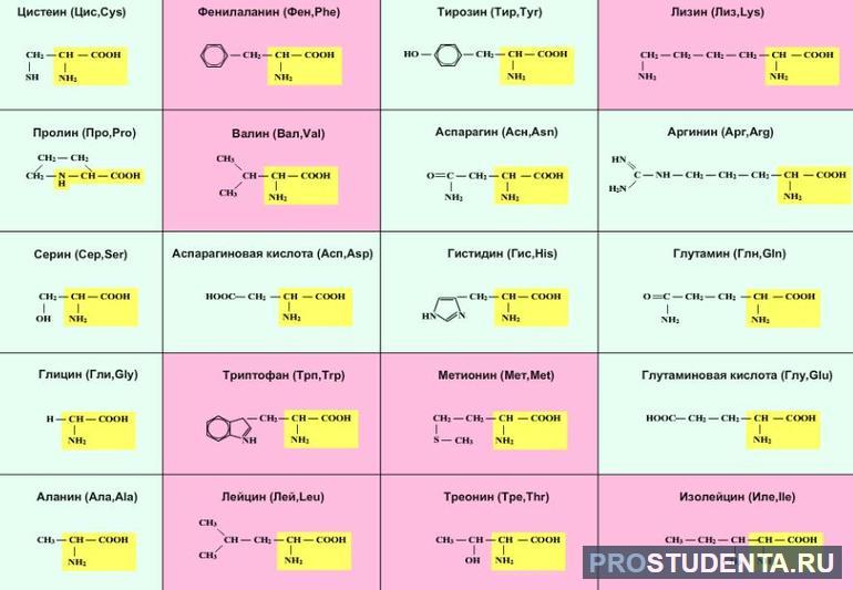 Типы аминокислот 