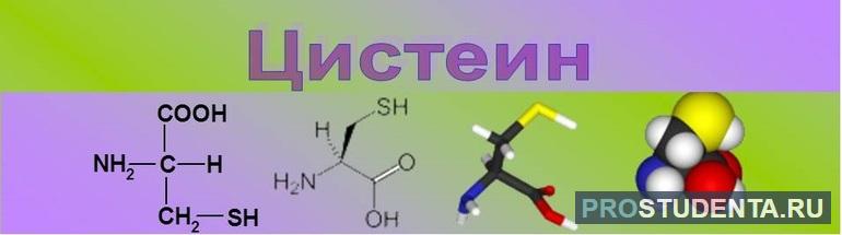 Цистеин алифатическая серосодержащая аминокислота 