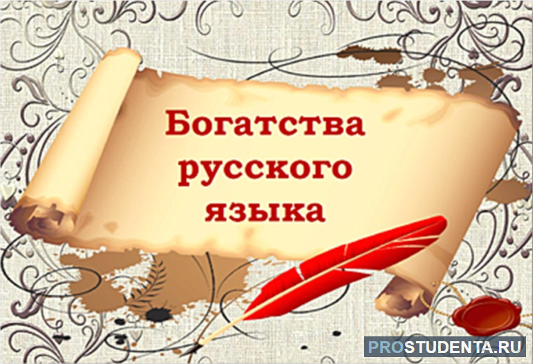 Какие богатства русского языка