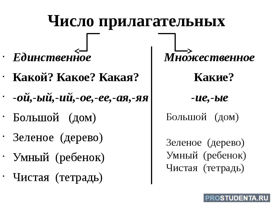 Число прилагательных 2 класс школа россии