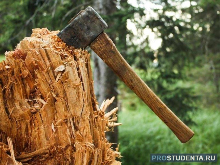 Сочинение на тему человек царь природы 