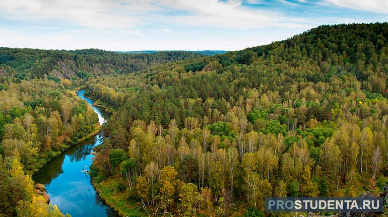 Лесные ресурсы Дальнего Востока