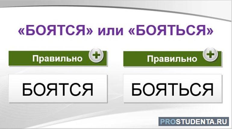 Как написать правильно: «боятся» или «бояться»