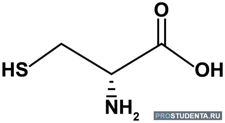 Цистеин или альфа-амино-бета-тиопропионовая кислота 