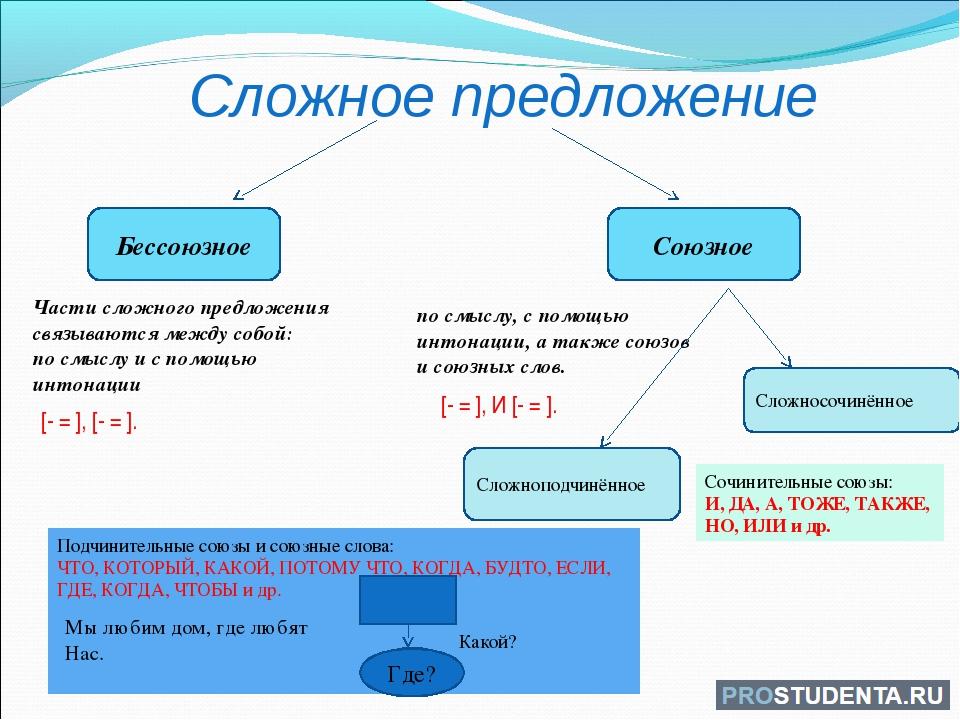 Написать 3 предложения с союзной связью