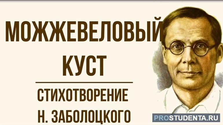 Анализ стихотворения Николая Заболоцкого «Можжевеловый куст»