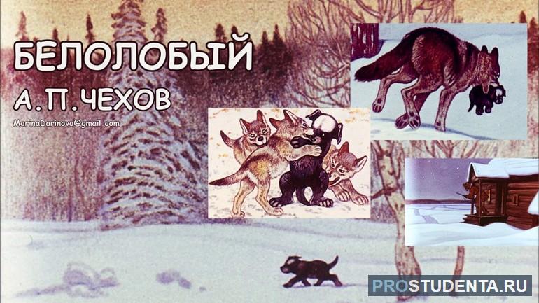 Рассказ «Белолобый» 