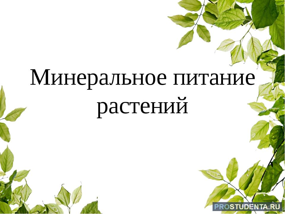 Минеральное питание растений тест по биологии 6