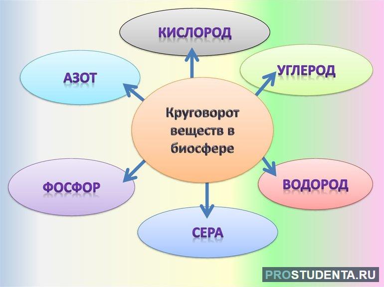  последовательность этапов круговорота атмосферного азота 