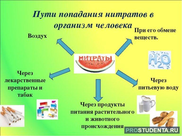 Попадание нитратов в организм человека