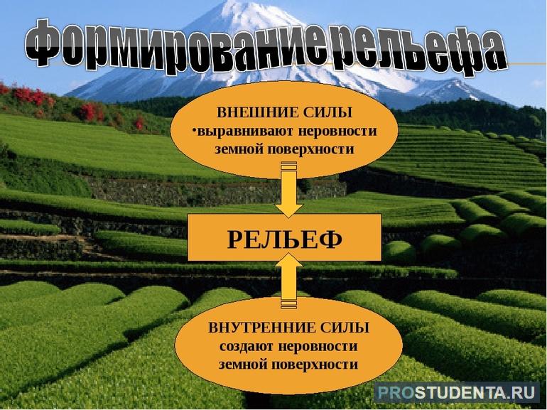 Почему рельеф земли очень разнообразен