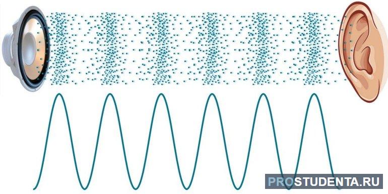 Звуковые волны физика