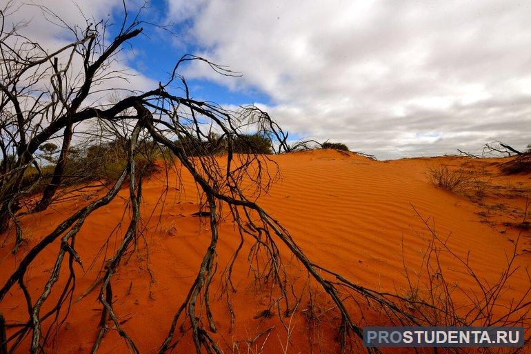 Пустыни — крайне засушливые районы