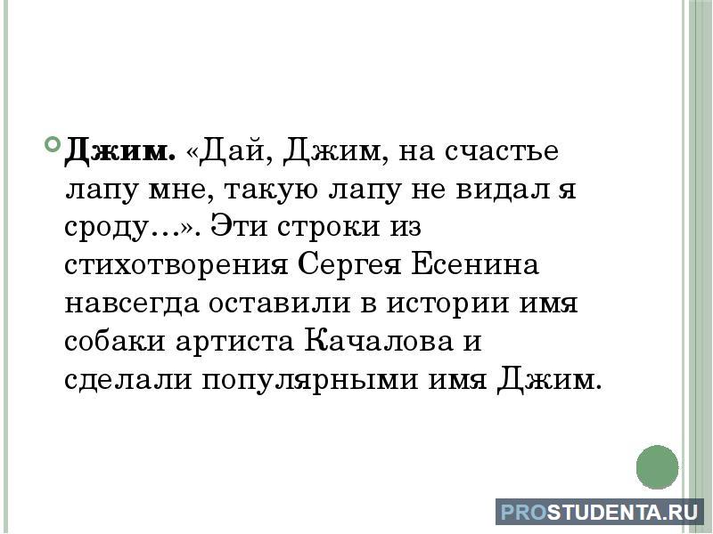 Анализ стихотворения есенина собака. Анализ стиха собаке Качалова Есенин. Собаке Качалова. Стих Есенина про собаку Джима. Разбор стихотворения глаза собачьи Есенин по плану.