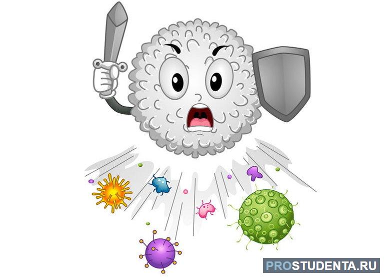 Виды иммунитета человека и иммунные механизмы в таблице