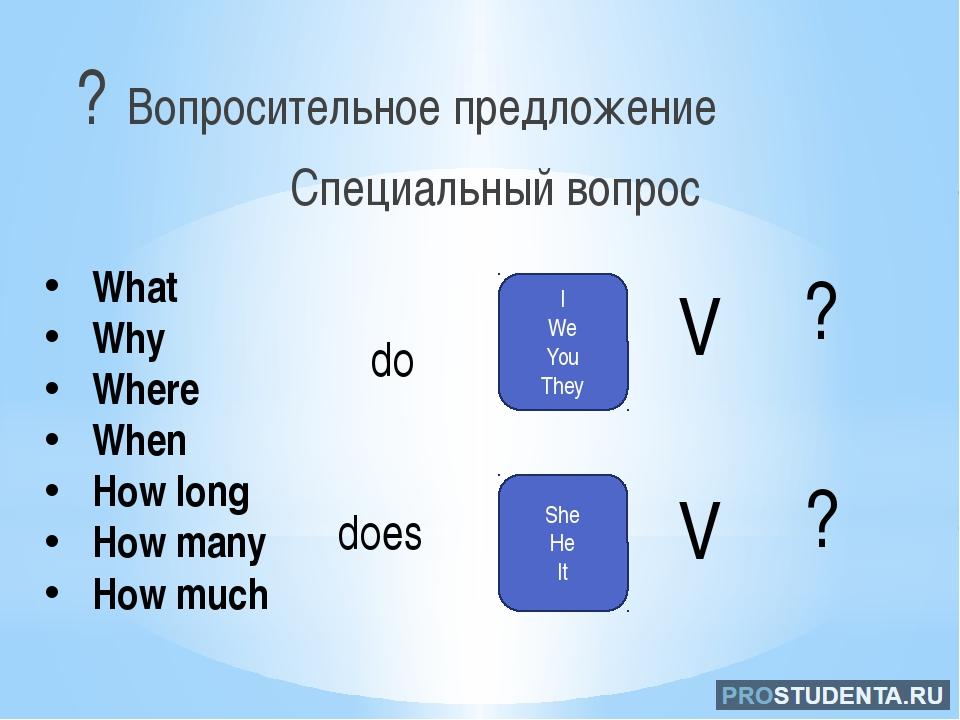 Вопросительные предложения список. Специальный вопрос в английском презент Симпл. Present simple вопросительные предложения специальные. Специальные вопросы в английском языке. Неспециальные вопросы в английском языке.