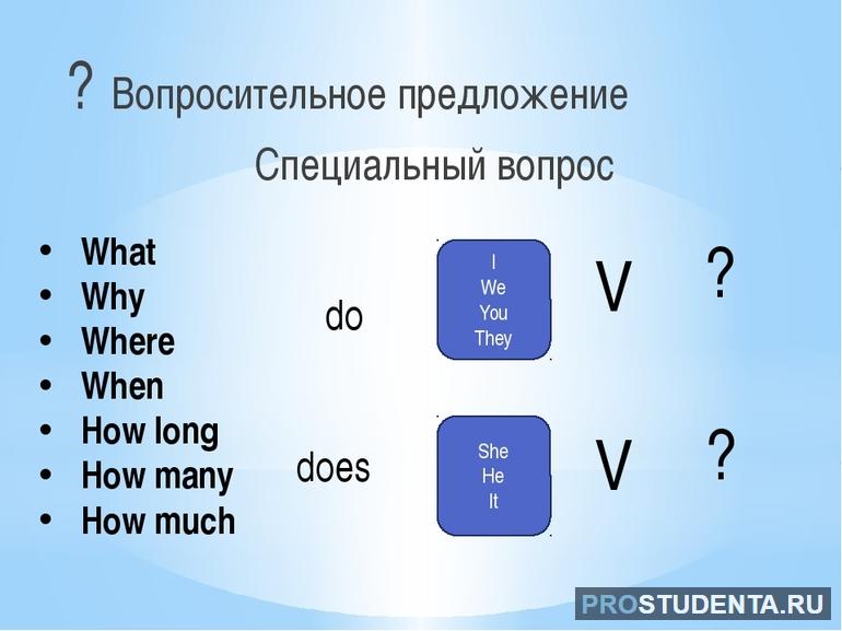 Вопросительные предложения в английском языке