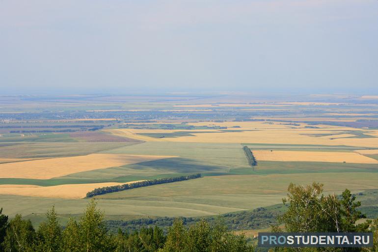  Западно-Сибирская равнина