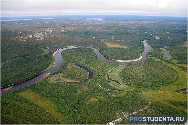 Климатические условия Западно-Сибирской низменности