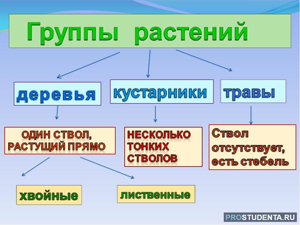 Разделитесь на три группы