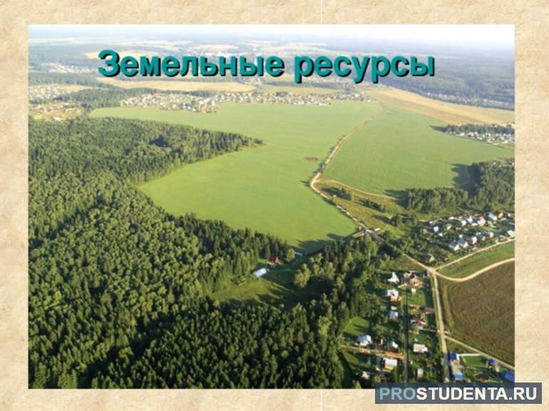 Структура и характеристики земельных ресурсов России и мира