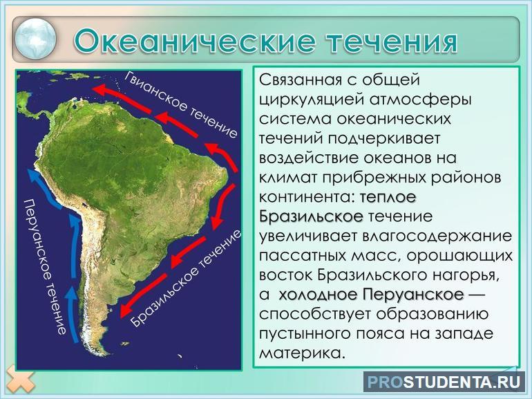 Тёплые течения, называемые Бразильским и Гвианским омывают Южную Америку