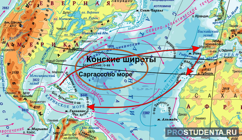 География части мирового океана 6 класс 