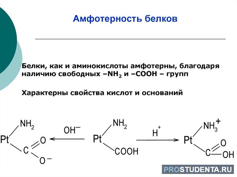 Амфотерность железа